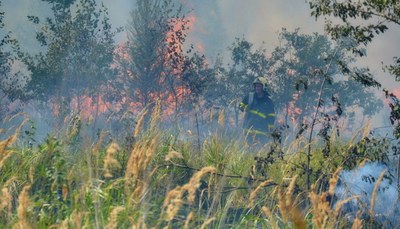 Kvůli suchu hrozí požáry. Krajský úřad nařídil dodržovat opatření, jak jim zabránit