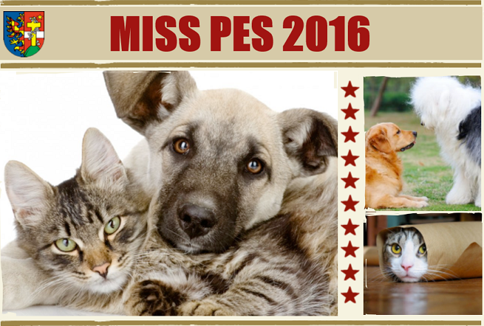 MISS PES a MAZLÍK 2016