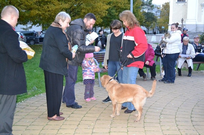 Největšími sympaťáky obvodu jsou zlatá retrívřice a ježek