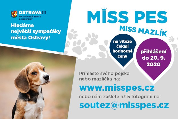 Opět hledáme největšího zvířecího sympaťáka