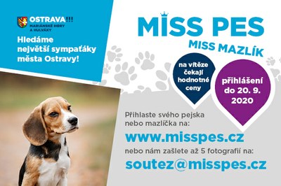 Opět hledáme největšího zvířecího sympaťáka