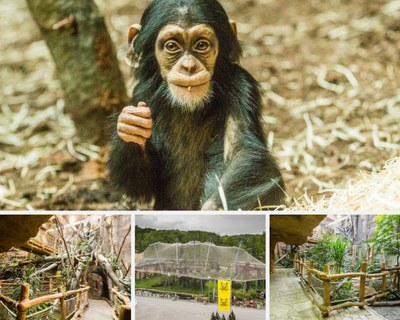 PAVILON EVOLUCE V OSTRAVSKÉ ZOO SE ÚČASTNÍ SOUTĚŽE „NÁŠ EVROPSKÝ PROJEKT“ 2021