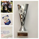 Ceny za druhé místo v soutěži