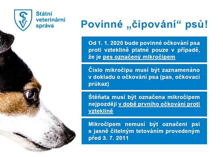 Povinné označování psů