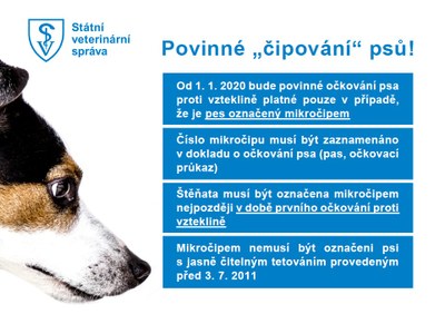 Povinné označování psů