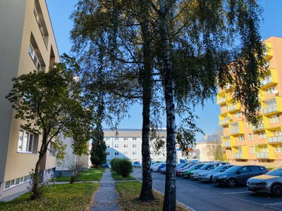 Přípravy na regeneraci sídliště U Dvoru jsou zahájeny