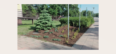 Radnice oživila prostory sídliště Fifejdy