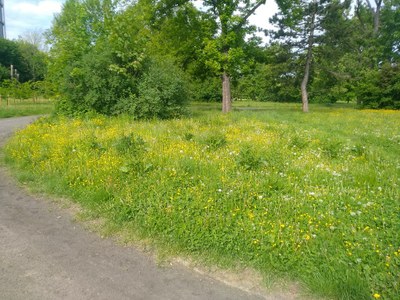 Radnice reaguje na klimatické změny
