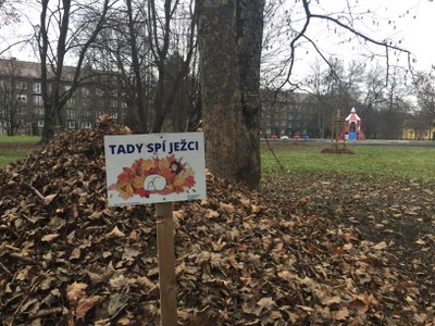 Také letos vznikly v obvodě domečky k přezimování ježků
