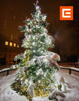 Vánoční stromek už svítí do nocí