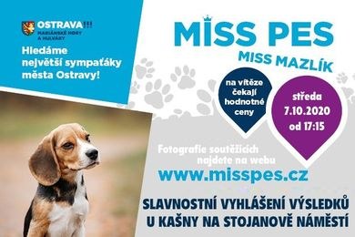Vy jste rozhodli, porota ještě vybírá